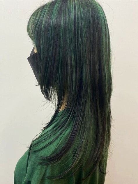 black hair with green highlights Black With Dark Green Highlights, Black Hair Coloured Streaks, Blue Black Hair With Silver Highlights, Turquoise Highlights On Black Hair, Green And Black Chunky Highlights, Black With Green Highlights Hair, Green Hair With Black Highlights, Colored Hair With Black, Black And Green Hair Aesthetic