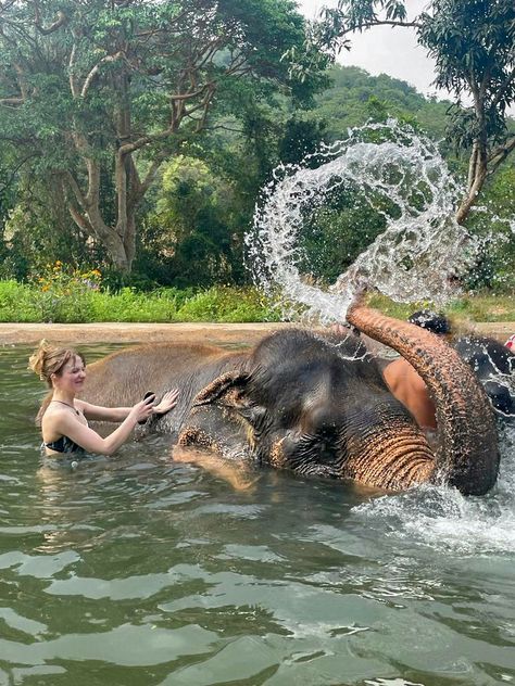 Thailand, lagoon, water, forest washing elephant, Elephant sanctuary, Elephant, travel inspiration, green, swimming, pattaya, aesthetic, photography Animal Sanctuary Aesthetic, Thailand Elephant Sanctuary, Elephant Swimming, Elephant Sanctuary Thailand, Elephant Aesthetic, Gap Year Travel, Water Forest, Thailand Elephants, Thailand Vacation