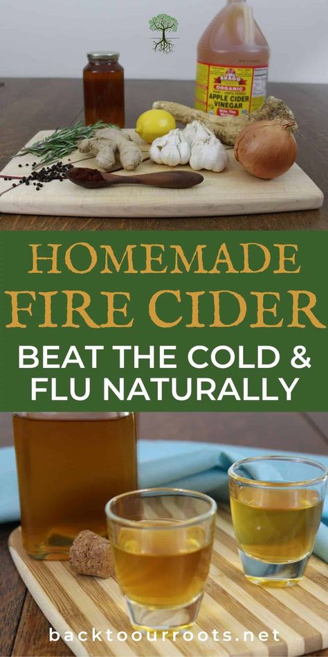 Simple Fire Cider Recipe, Apple Cider Vinegar Homemade, Fire Cider Recipe, Spicy Drinks, Modern Homestead, Herbal Medicine Recipes, Wild Herbs, Modern Homesteading, Fire Cider