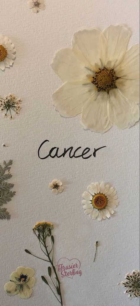 Cancerian Woman Aesthetic, Cancerian Aesthetic, Makeup Zodiac, Cancerian Woman, Taurus Wallpaper, Coral Wallpaper, Iphone Backgrounds, Backgrounds Phone Wallpapers, Zodiac Art