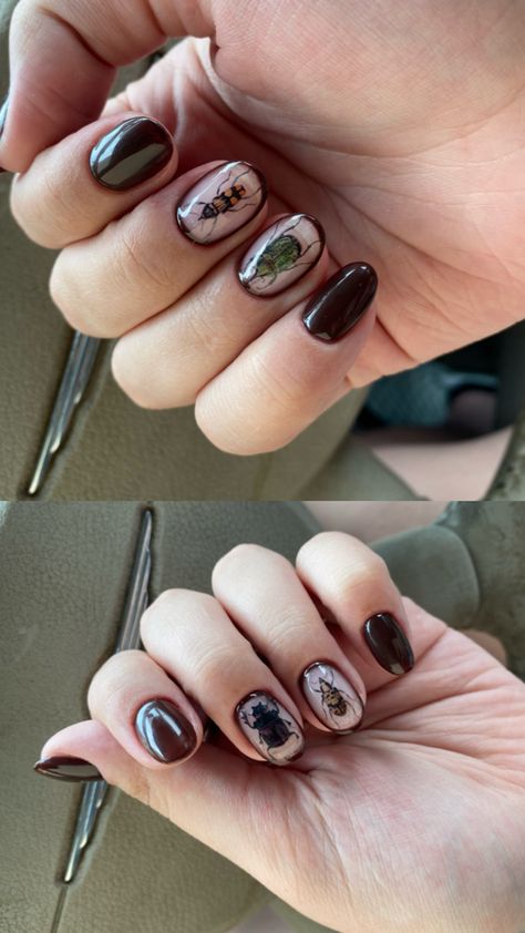 Brown bug nails Bug Nails, Navy Nails, Band Nails, Punk Nails, Short Nails Art, Pretty Gel Nails, Hair Skin Nails, Cute Nail Art, Funky Nails