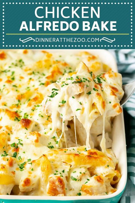 Chicken Alfredo Bake | Baked Pasta #chicken #pasta #cheese #comfortfood #dinner #dinneratthezoo White Sauce Pasta Bake Recipes, Chicken Noodle Alfredo Casserole, Baked Pasta With White Sauce, Good Family Recipes, Chicken Parm With Alfredo Sauce, Baked White Pasta Recipes, Baked Chicken Broccoli Alfredo, Garlic Chicken Alfredo Pasta, Baked White Pasta