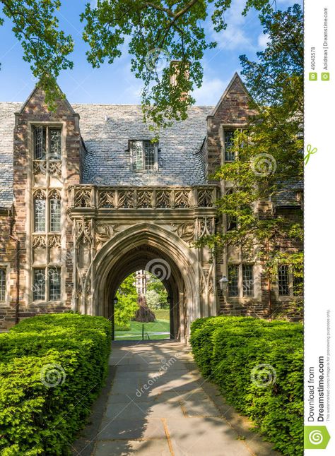 Princeton University stock photo. Image of blue, honored - 49043578 Boarding School Aesthetic, University Architecture, School Campus, College Aesthetic, About School, Princeton University, College Application, American Universities, School Building