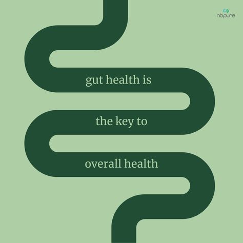 Say it with us: the foundation of overall wellness is...🥁🥁🥁 gut health!🌱✨ Why? Because it can shape your immunity, impact your mood & sleep, and affect nutrient absorption among other things! At nbpure, we're here to help you be the champions of your gut health💪🏽💚 Health Wellness Quotes Motivation, Gut Health Illustration, Healing Gut Health Aesthetic, Gut Health Aesthetic Pictures, Gut Health Vision Board, Gut Health Quotes, Gut Health Aesthetic, Gut Supplements, Health Social Media