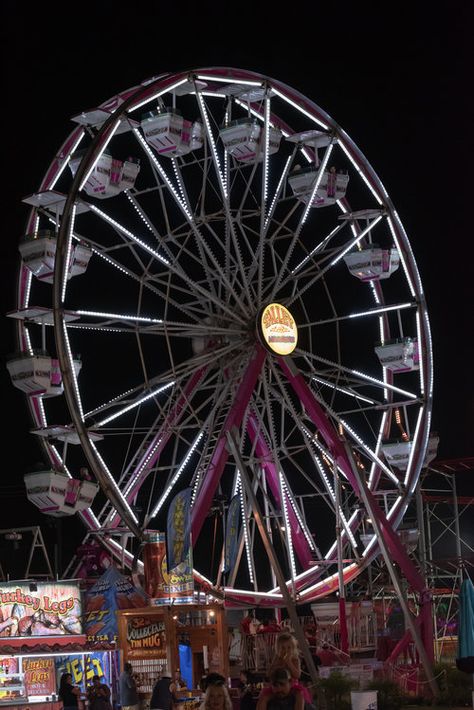 Photoset: North Texas Fair and Rodeo 2018 — THE DENTONITE Texas Fair, Image Layout, North Texas, Rodeo, Texas, Quick Saves, Art