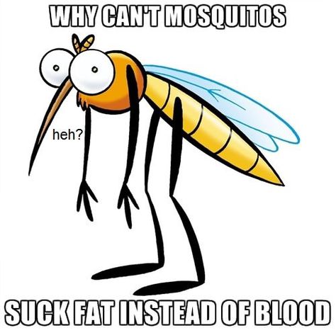 Mosquito Diet Mosquito Meme, Funny Mosquito, Spanish Jokes, Chicken Art, Humor Grafico, Funny Phrases, Sarcasm Humor, Bugs And Insects, Cartoon Jokes