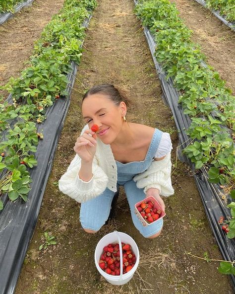 Strawberry Picking Photography, Strawberry Picking Pictures, Strawberry Picking Outfit, Soft Girl Aesthetic Outfit, Miley Stewart, Cherry Picking, Farm Day, Berry Picking, Strawberry Picking