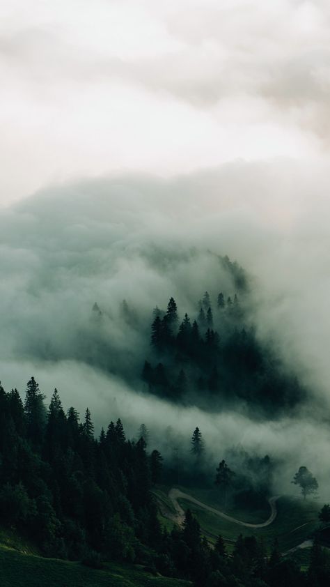 Misty Mountain Aesthetic, Forest Wallpaper Iphone, Dark Vibes, Dark Forest Aesthetic, Mountain Aesthetic, Cottage Witch, Twilight Photos, Foggy Mountains, Misty Mountains