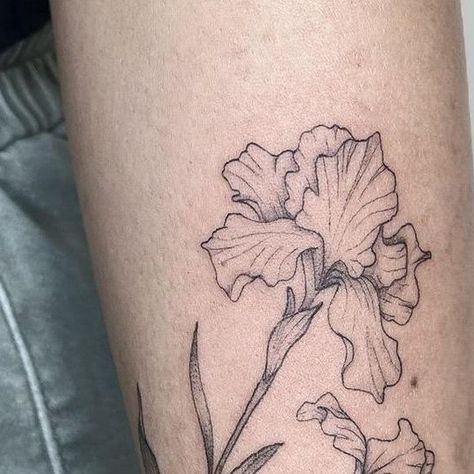 Iris Rib Tattoo, Again Tattoo, Grace Tattoos, Iris Tattoo, Red Tattoos, Iris Flower, Rib Tattoo, October 5, Iris Flowers