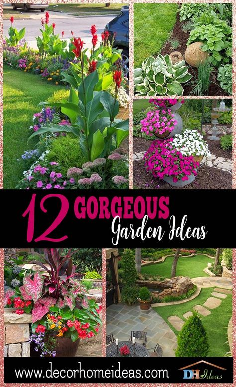 Backyard Flowers, Piscina Natural, Traditional Garden, Front Yard Garden, Olive Garden, Gorgeous Gardens, Desert Landscaping, Diy Patio, Lawn And Garden