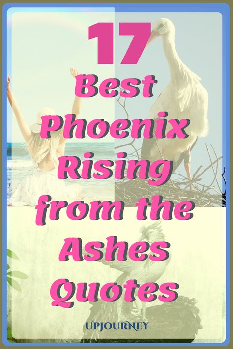 17 Best Phoenix Rising From The Ashes Quotes. #quotes #phoenix #ashes #inspirational #motivational Phoenix Tattoo Quotes Words, Quotes About Phoenix Rising, Phoenix Sayings Quotes, Phoenix Quotes Tattoo, Phoniex Rising From Ashes Tattoo, Phoenix Rise From The Ashes, Phoenix Tattoo Quotes, Phoenix Sayings, Phoenix Meaning Quotes