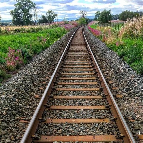 Railway Line, Scenic Train Rides, English Projects, Railway Track, Walk The Line, All Aboard, Central Station, Ways To Travel, Train Tracks