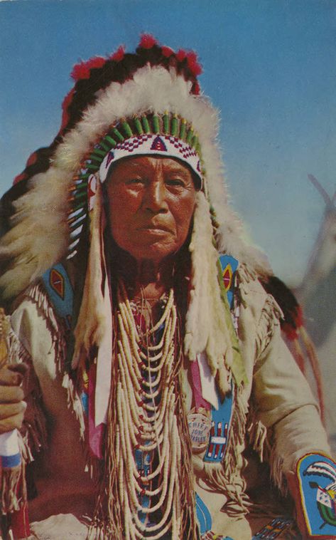 Native American Face Paint, Native American Paintings, Native American Warrior, Native American Images, Native American Chief, Native American Men, Native American Pictures, Wilde Westen, Native American Artwork