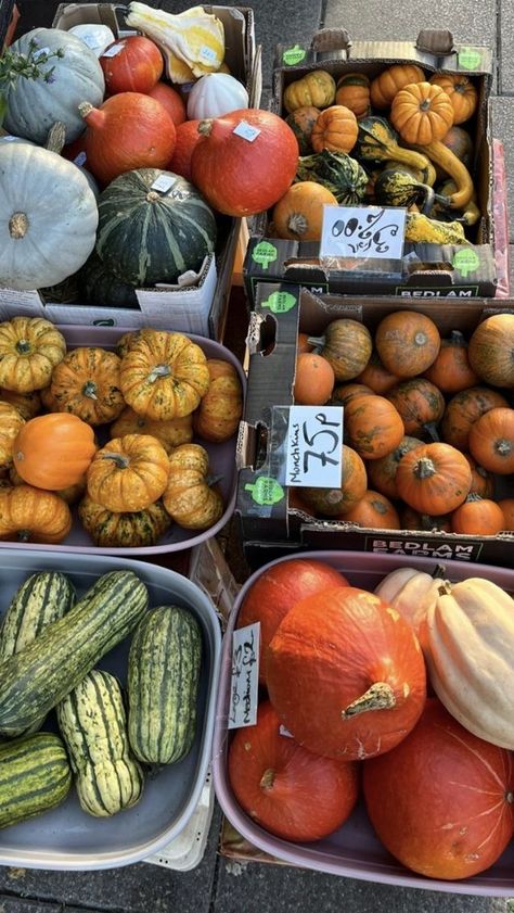 Fall Farmers Market, Everything Fall, Comfy Reading, Aesthetic 2023, Fall Comfort Food, Fall Mood Board, Fall Semester, Get In The Mood, Pumpkin Spice Season