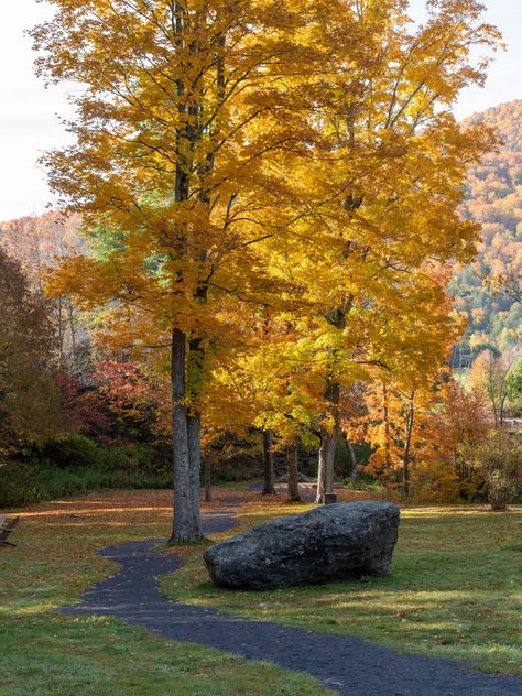 Boutique Hotel In Catskills, NY | Wylder Hotels Windham Catskills Ny, Catskill Mountains, Weekend Travel, Mountain Lodge, Weekend Trips, Loved Ones, Modern Luxury, Boutique Hotel, In This Moment