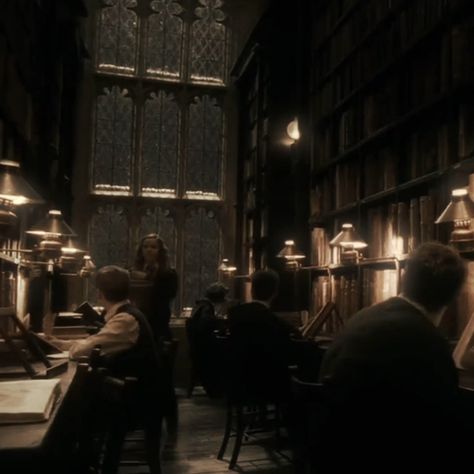 Hogwarts Grounds, Hogwarts Library, Walburga Black, Hogwarts Dr, Old Library, Library Aesthetic, Hogwarts Aesthetic, Slytherin Aesthetic, Visual Board