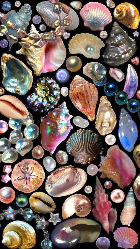 🐚✨#wallpaper #collage #seashells #pearls ￼#aesthetic Pearls Aesthetic, Pearl Wallpaper, Beach Wall Collage, Aesthetic Shuffles, Seashell Painting, Wallpaper Collage, Iphone Wallpaper Themes, Photo Wall Collage, Pretty Wallpaper Iphone