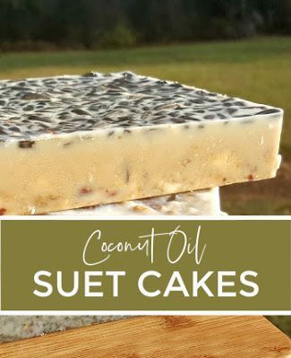 Suet Cakes For Chickens, Sunflower Seed Recipes, Dried Cranberries Recipes, Suet Recipe, Flock Block, Bird Suet, Homemade Coconut Oil, Suet Cakes, Chicken Cake