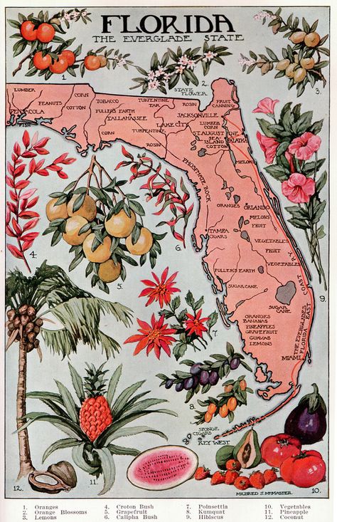 Florida page 1046 to 1047 | This illustration is from the pu… | Flickr Illustration Friends, Florida Map, Map Of Florida, Travel Postcard, Ideas Vintage, Wedding Vintage, Old Florida, Vintage Florida, State Of Florida