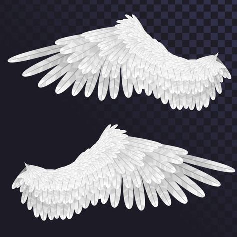 4,129 Swan Wings Stock Photos, Pictures & Royalty-Free Images - iStock