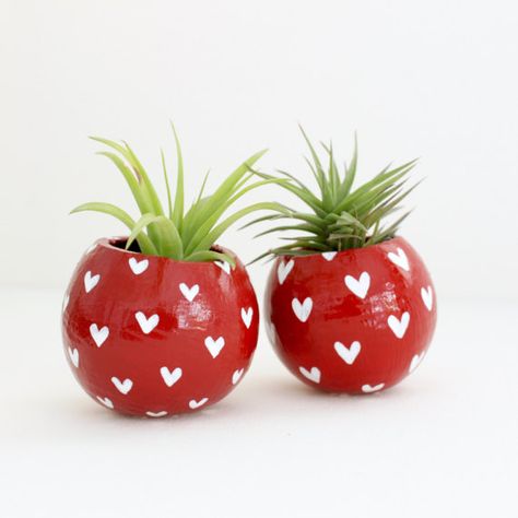 Brighten someones day with this modern planter and air plant set. An easy way to add color and plants to your space. Makes a perfect gift for the home, office or dorm. This hand-painted red & white heart planter holds a low maintenance Tillandsia air plant or a no maintenance faux Minimalist Homes, Coconut Shell Crafts, Painting Simple, Flower Pot Art, Pot Painting, Plant Pot Diy, Modern Planter, Painted Pots Diy, Flower Pot Design