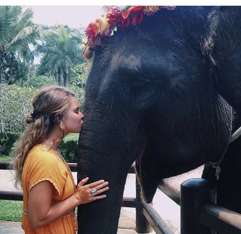 Thailand Elephant Sanctuary, Hair And Makeup Inspiration, Sweet Elephant, Thailand Elephants, World Hair, Elephant Sanctuary, Glamour Uk, Most Beautiful Animals, Lifestyle Trends