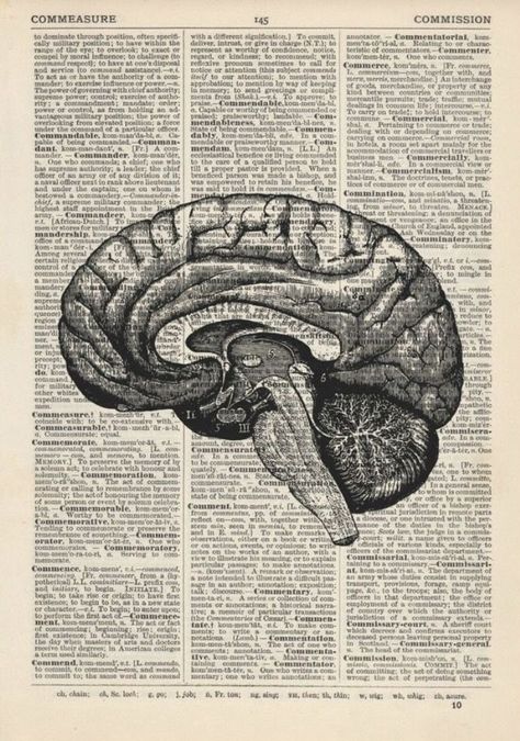 Dictionary Page, Book Page, Persona, Brain, Human