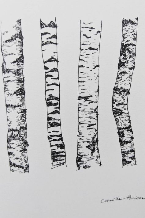 Different birch tree barks, exploring textures and designs for art inspiration for Project Roots. Drawing Bark Texture, Birch Trees Drawing, Bark Drawing Texture, Birch Tree Roots, How To Draw A Birch Tree, Tree Bark Sketch, Birch Tree Sketch, Tree Texture Drawing, Tree Bark Drawing