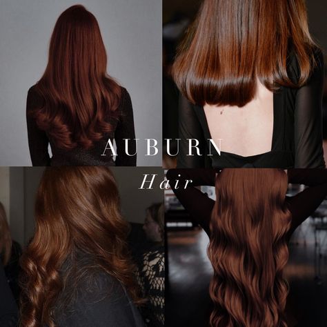 Warm toned hair inspiration from the Spring and Autumn palettes 🤍 . #coloranalysis #colouranalysis #autumnpalette #springpalette #coloranalyst Deep Autumn Hair Dye, Level 5 Auburn Hair Color, Best Dark Hair Colors, Best Hair Color For Autumn Skin Tone, Dark Hair Colors With Highlights, Brown Hair With Violet Undertones, Light Brown Cinnamon Hair Color, Hair Colors For Deep Autumn, Autumn 2024 Hair