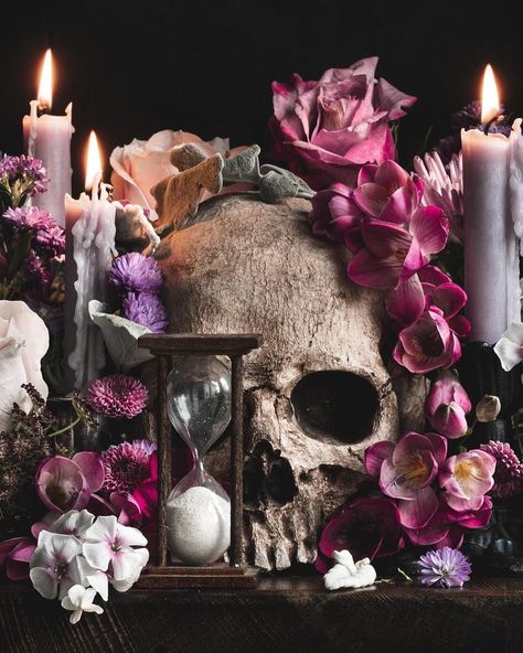 Alyssa Thorne on Instagram: “❣️Please swipe for full piece!❣️ This is a work I made in collaboration with my lovely friend @graveyardwanders - who provided the…” Vanitas Paintings, Foto Art, A Skull, Memento Mori, Still Life Painting, Art Plastique, Giclee Art, Giclee Art Print, Belle Photo