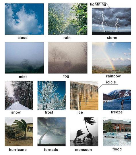 Learning about different types of weather English lesson Weather In English, Weather Vocabulary, Visual Dictionary, English Vocab, French Vocabulary, English Language Teaching, English Activities, English Dictionaries, French Lessons