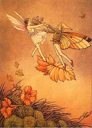 Old Orange Aesthetic, Orange Magic Aesthetic, Ida Rentoul Outhwaite, Arte Indie, Fairies Dancing, Autumn Orange, Fairy Illustration, Autumn Fairy, Main Squeeze