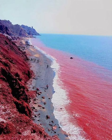 (42) Nature Wonder (@Anastasia45109) / Twitter Hormuz Island, Red Sand Beach, Iran Pictures, Disney Characters Wallpaper, Persian Gulf, Iran Travel, California Wildfires, Persian Empire, Red Beach