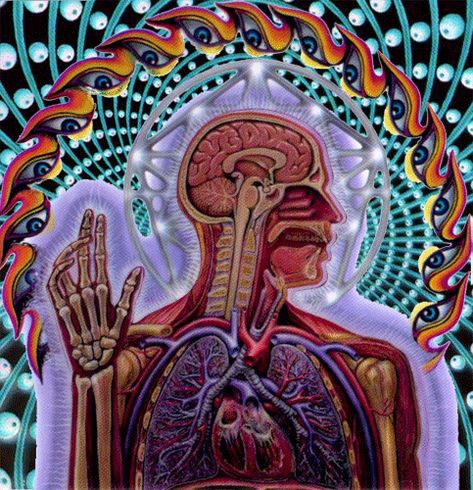 Why Is Tool So Hard to Love? Is That the Point? Tool Band Art, Tool Band Artwork, Tool Artwork, Alex Gray Art, Tool Music, Trippy Gif, Tool Band, Alex Grey, Space Pictures