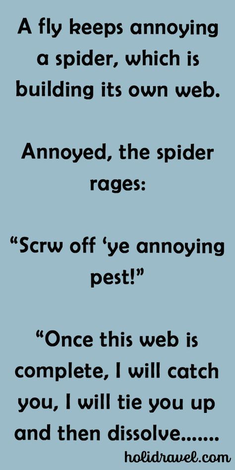 A Fly Keeps Annoying A Spider. – Spider Jokes, Clean Funny, Good Jokes To Tell, Women Jokes, Clean Funny Jokes, Book Jokes, Good Jokes, Read More, Funny Jokes