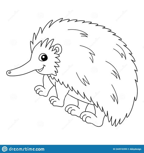 Echidna Illustration, Echidna Animal, Echidna Drawing, Vbs 2023, Kids Illustration, Animal Coloring, Australian Animals, Cartoon Faces, Zoology