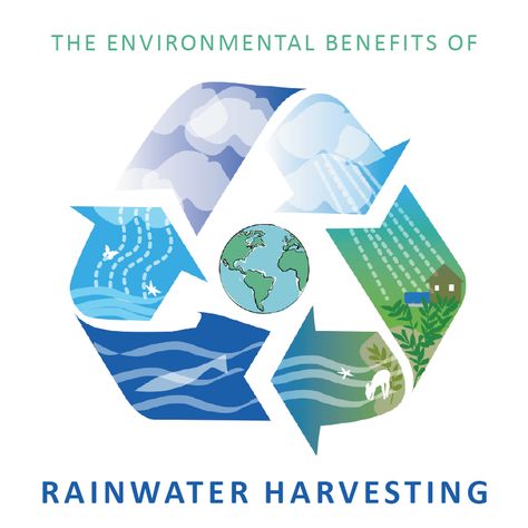 ⁠Rainwater harvesting is great for the environment, let us count the ways for you: https://www.bluebarrelsystems.com/blog/environmental-benefits-of-rainwater-harvesting/⁠ ⁠ #rainwaterharvesting #rainwatercatchment #rainbarrels #earthdayeveryday #sustainability #waterwise #savewater Cycle Infographic, Rain Water Harvesting, Rainwater Collection, Water Catchment, Water Harvesting, Rain Harvesting, Rainwater Harvesting System, Rain Barrels, Rain Water Tank