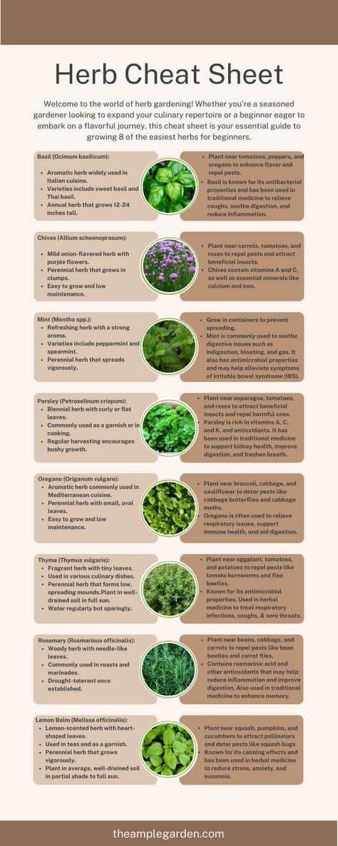 🌿 Discover the joy of herb gardening for beginners! 🌱 Whether you're a seasoned gardener or just starting out, this guide has everything you need to grow 8 easy-to-care-for herbs. From aromatic basil to soothing mint, learn how to cultivate a thriving herb garden right at home! #HerbGardening #Beginners #GardeningTips 🌱🌿 Herbs To Plant With Vegetables, Gardening Herbs For Beginners, Outside Herb Garden Ideas, Herb Care Guide, Herb Kitchen Garden, Herbs To Grow In Garden, Aromatic Herbs Garden, Beginner Medicinal Herb Garden, Herb Gardening For Beginners