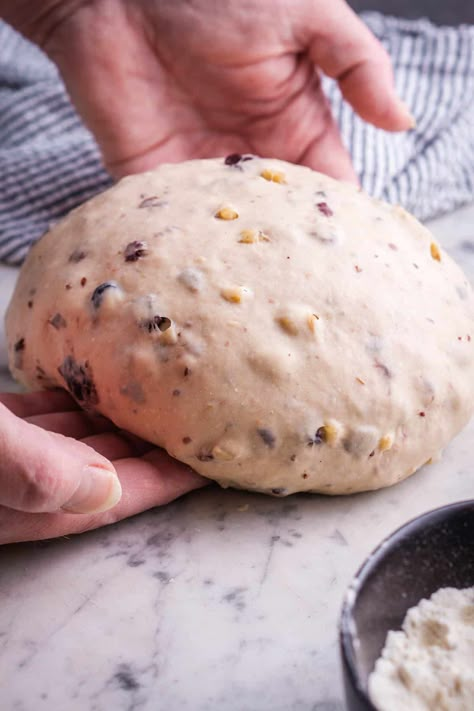 This Costco-inspired cranberry walnut bread recipe makes a plump, chewy, subtly sweet yeast bread within a few hours of mixing. Beginner bread bakers will love the easy step-by-step instructions (with photos)! Cranberry And Walnut Bread, Yeast Breads Recipes, Bread Machine Cranberry Walnut Bread, Yeasted Bread Recipe, Breakfast Yeast Bread Recipes, Walnut Cranberry Bread Recipe, Walnut Bread Recipe Simple, Costco Cranberry Walnut Bread Recipe, Cranberry Almond Bread