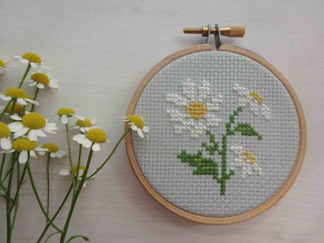 DSC04529 Easy Cross Stitch Patterns, Small Cross Stitch, Pola Kristik, Cross Stitch Patterns Flowers, Mini Cross Stitch, Cute Cross Stitch, Cross Stitch Cards, Floral Cross Stitch, Simple Cross Stitch