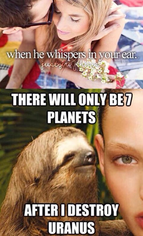 Creepy sloth. From cheezeburger. Creepy Sloth, Dirty Sayings, Mighty Mike, Military Jokes, Inappropriate Memes, Doll Softie, Dirty Memes, Humor Inappropriate, Funny Pictures With Captions