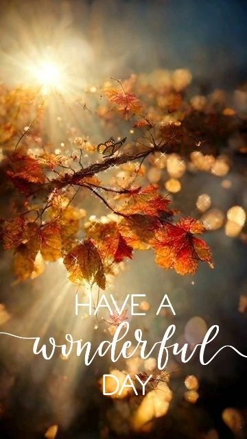 Have a wonderful day Happy Saturday Morning Quotes, Have A Wonderful Day Images, Good Morning Fall Quotes, Have An Amazing Day Quotes, Have A Wonderful Day Quotes, Have A Beautiful Day Quotes, Have A Nice Day Quotes, Enjoy Your Day Quotes, Have A Great Day Quotes