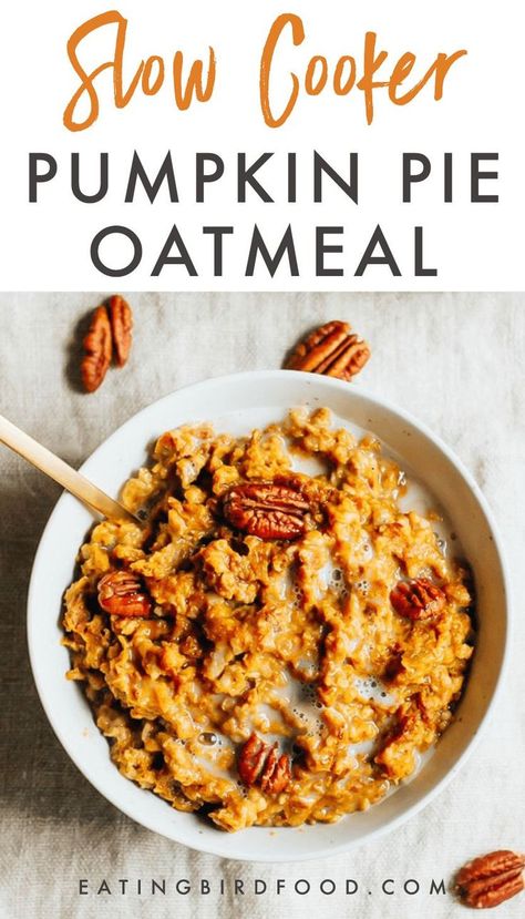 Slow Cooker Pumpkin Pie, Slow Cooker Oatmeal, Pumpkin Pie Oatmeal, Slow Cooker Pumpkin, Oatmeal Recipe, Healthy Slow Cooker, Minced Meat, Oatmeal Recipes, Hello Fall