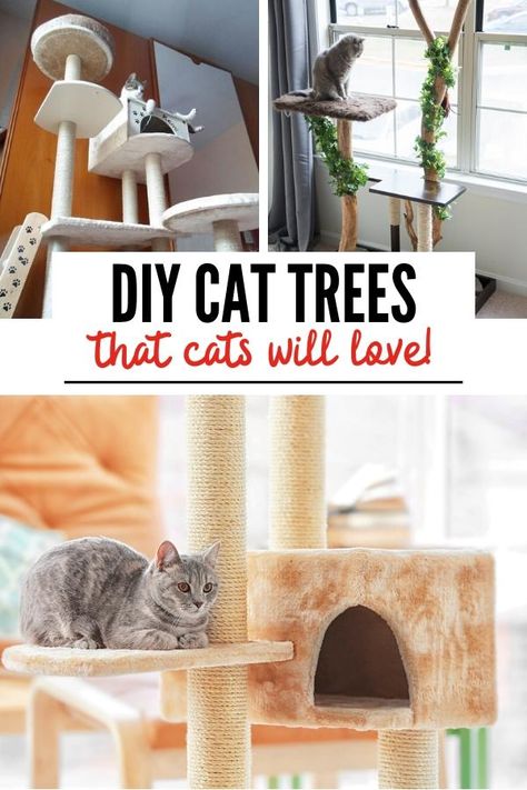 Small Apartment Cat, Diy Cat Trees, Cat Trees Diy Easy, Cat Trees Homemade, Diy Cat Tower, Cat Tree Plans, Diy Cat Bed, Cool Cat Trees, Pet Things