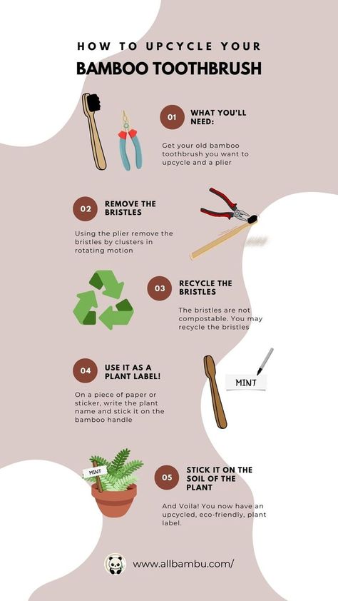 how to re-use or upcycle bamboo toothbrush Bamboo Toothbrush, Plant Labels, Bamboo Handles, Dental Hygiene, Brushing Teeth, Biodegradable Products, Color Palette, Step By Step, Bamboo