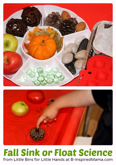 Fall Sink or Float Preschool Science Activity at B-Inspired Mama Sink Or Float Preschool, Winter Objects, Fall Float, Autumn Preschool, Autumn Preschool Theme, Pre-k Science, Fall Science, Science For Toddlers, Sink Or Float