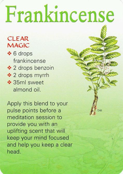 Sister Spell Binder on Twitter: "WITCHY TIP: Frankincense https://t.co/RJXbC1dxeA" Essential Oil Remedy, Oil Remedies, Magic Herbs, Essential Oils Herbs, Frankincense Oil, Herbal Healing, Healing Oils, Herbal Magic, Young Living Oils