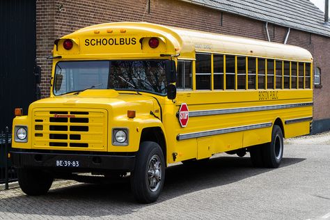 School bus? I do not know this does not have warning lights? Bus Sekolah, School Bus Pictures, Bus Transportation, Bus School, Retro Bus, Bus City, Old School Bus, Yellow School Bus, International Harvester Truck