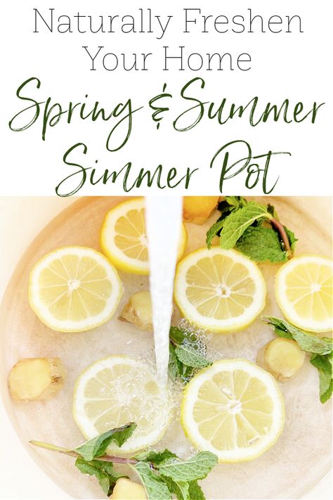 Summer Simmer Pot Recipe | Simmering Potpourri for Spring & Summer - Lemons, Lavender, & Laundry Simmer Pots Summer, Lemon Potpourri Stove, Summer Pot Pourri, Lime Simmer Pot Recipes, Thyme Simmer Pot, Summer Potpourri Simmer Pot, Summer Summer Pot, Summer Potpourri Recipes, Stove Pot Simmer Gift