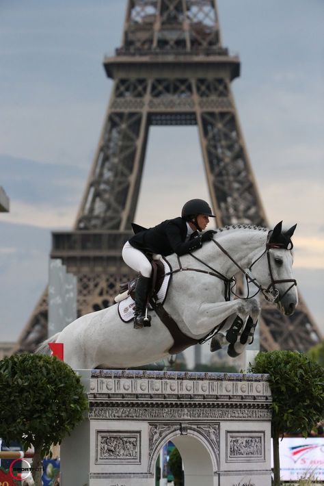 Global Champions Tour, Foto Cowgirl, Show Jumping Horses, Cai Sălbatici, Equestrian Aesthetic, Rasy Koni, Horse Aesthetic, Animale Rare, Horse Equestrian